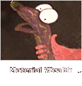 Material Wealth