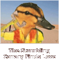 The Stumbling Canary Wins Love