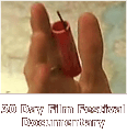 30 Day Film Festival Documentary