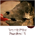 Drunk Film Festival 2