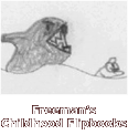 Freeman's Flipbooks